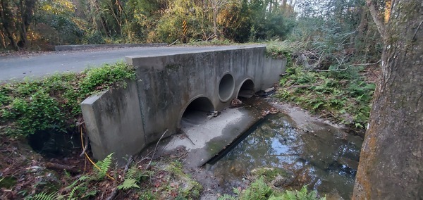 Upstream bridge, 17:30:34, 30.8770998, -83.2960441