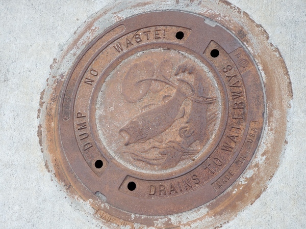 [Dump No Waste! Drains to Waterways, 17:39:25, 30.8774110, -83.3052480]