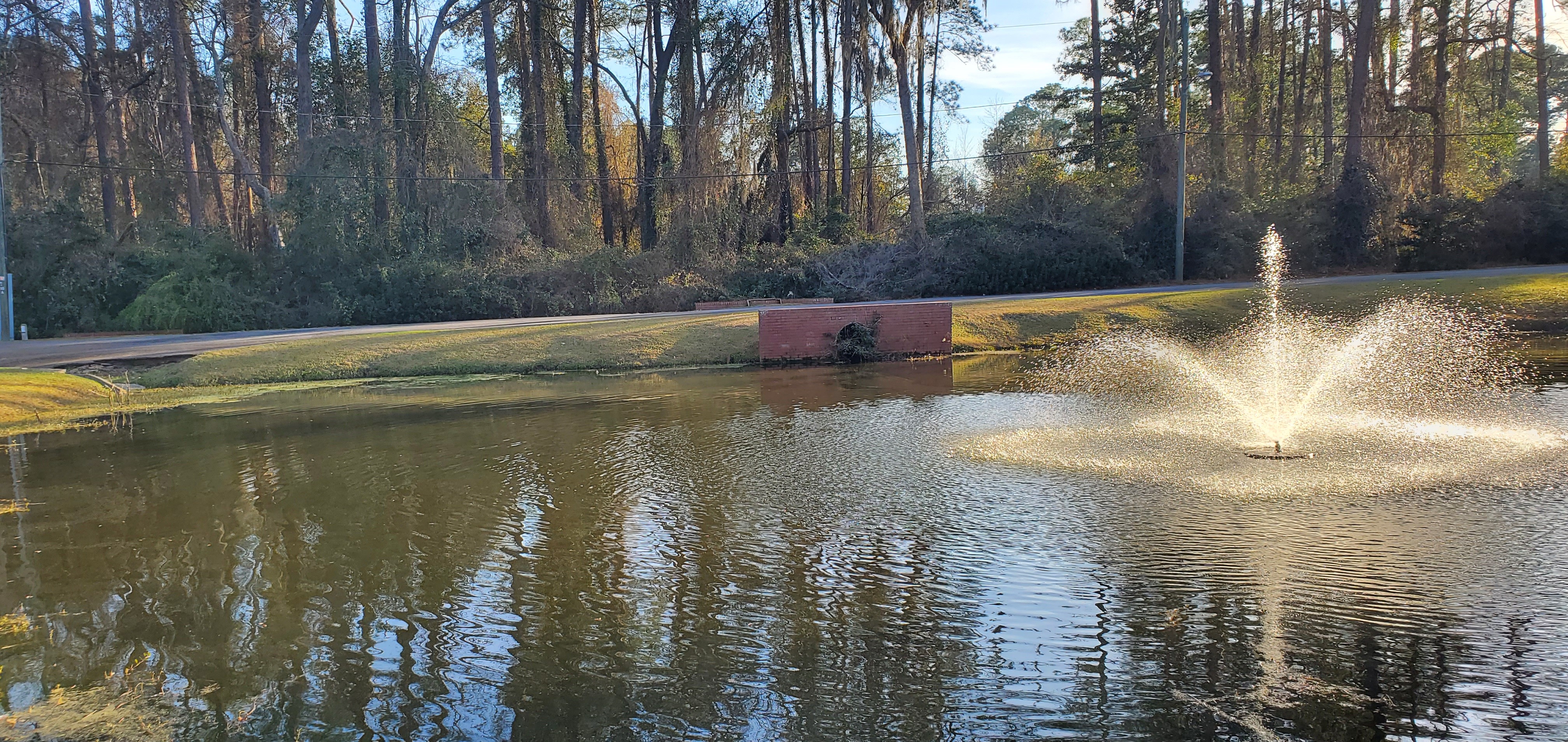 Fountain, Taylor-Cowart Park, 17:01:10, 30.8686909, -83.2780031