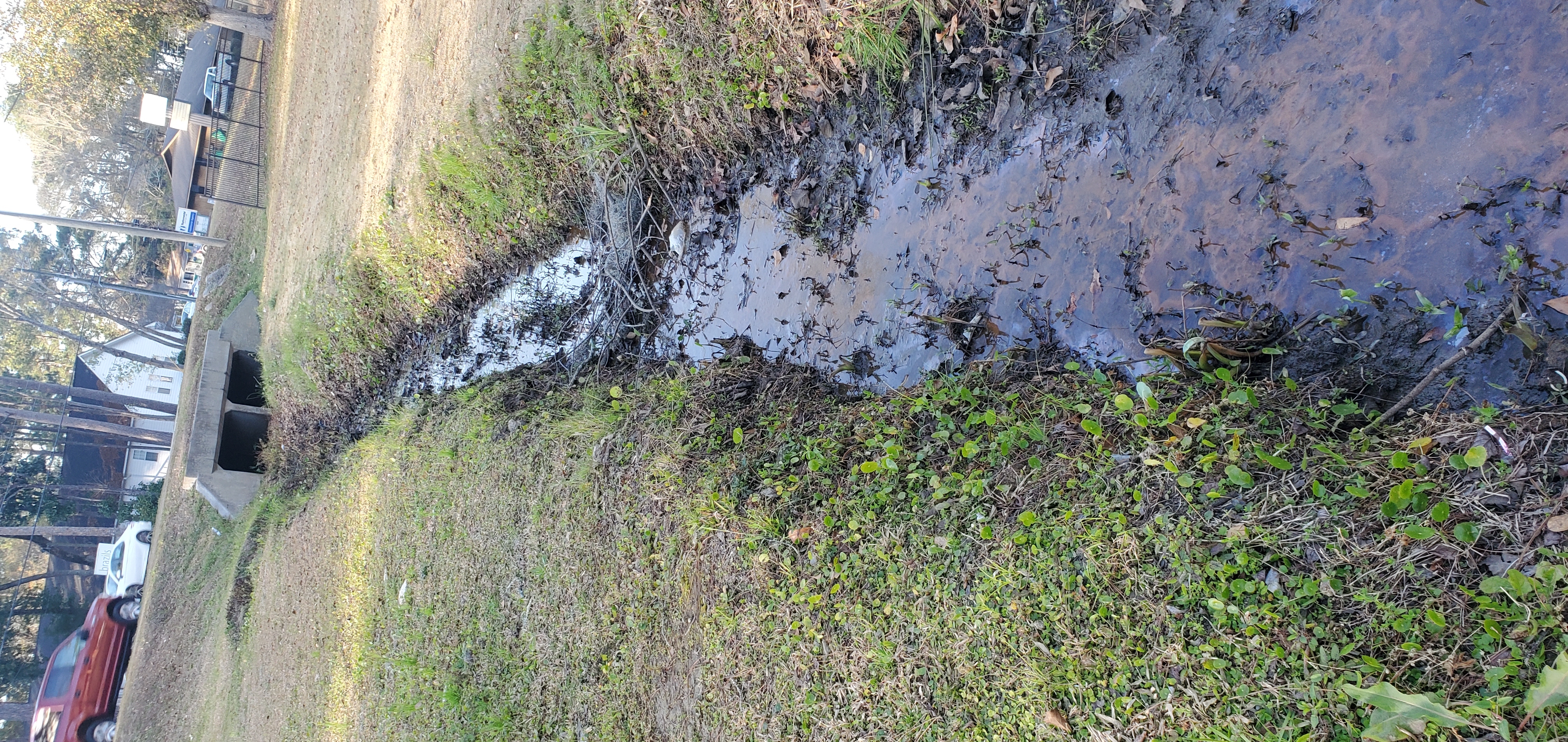 Upstream bridge and Two Mile Branch, 17:02:38, 30.8692230, -83.2784700