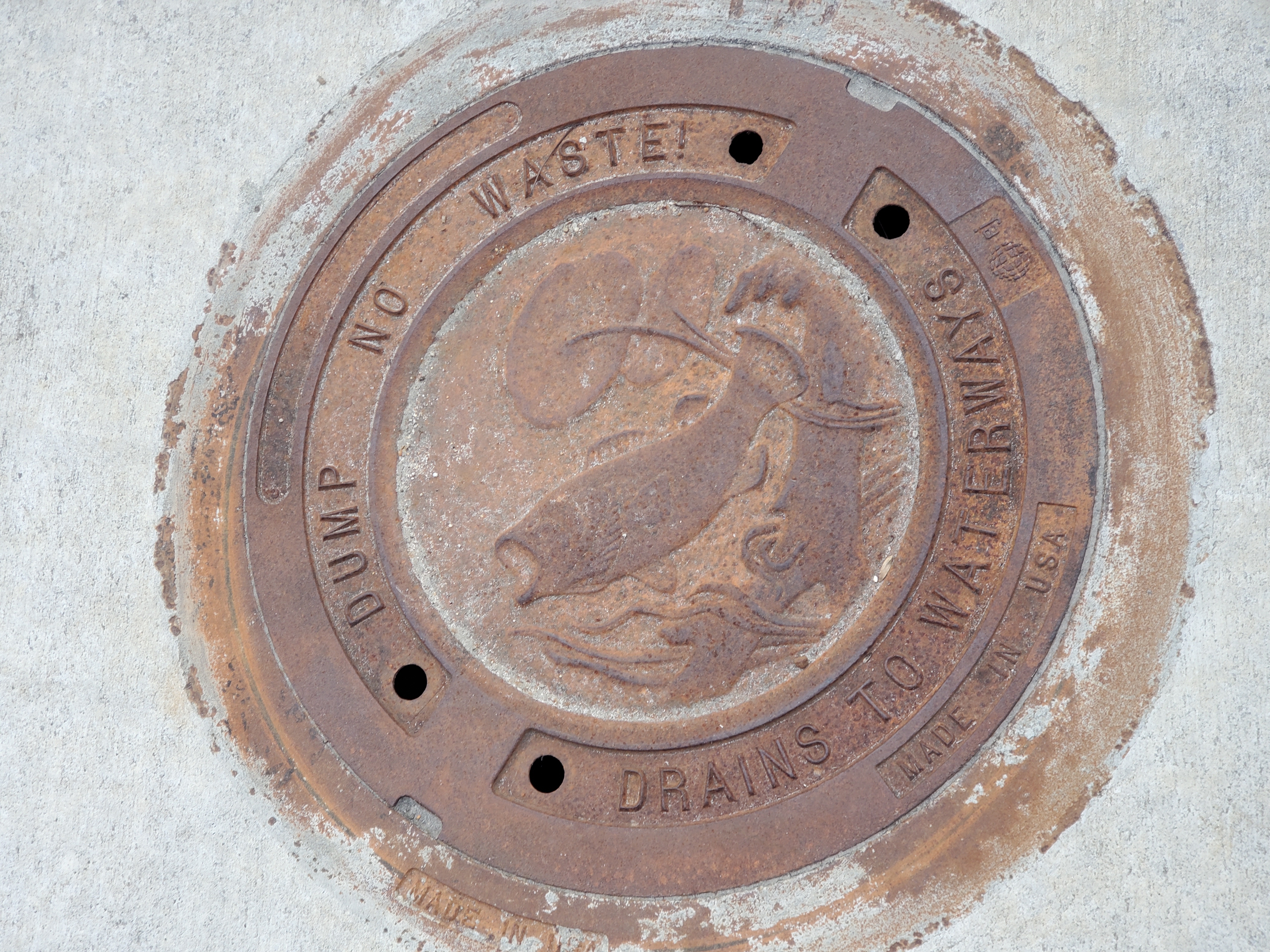 Dump No Waste! Drains to Waterways, 17:39:25, 30.8774110, -83.3052480