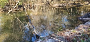 [Creek going under the boom, 15:45:52, 30.8621882, -83.3186006]