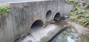 [Upstream bridge closeup, 17:30:38, 30.8769910, -83.2959870]