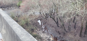 [Side creek full, 09:11:59, 30.7936340, -83.4531620]