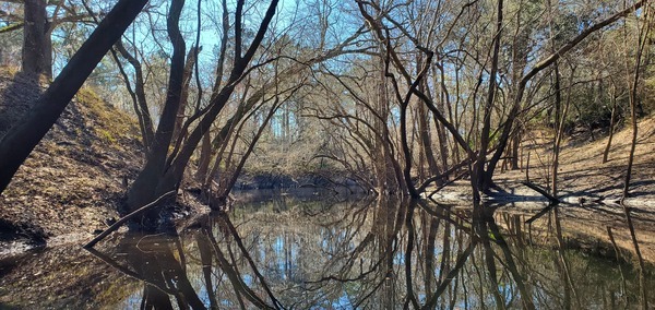 [Framed Millrace Creek, 14:32:34, 30.8149698, -83.4373425]