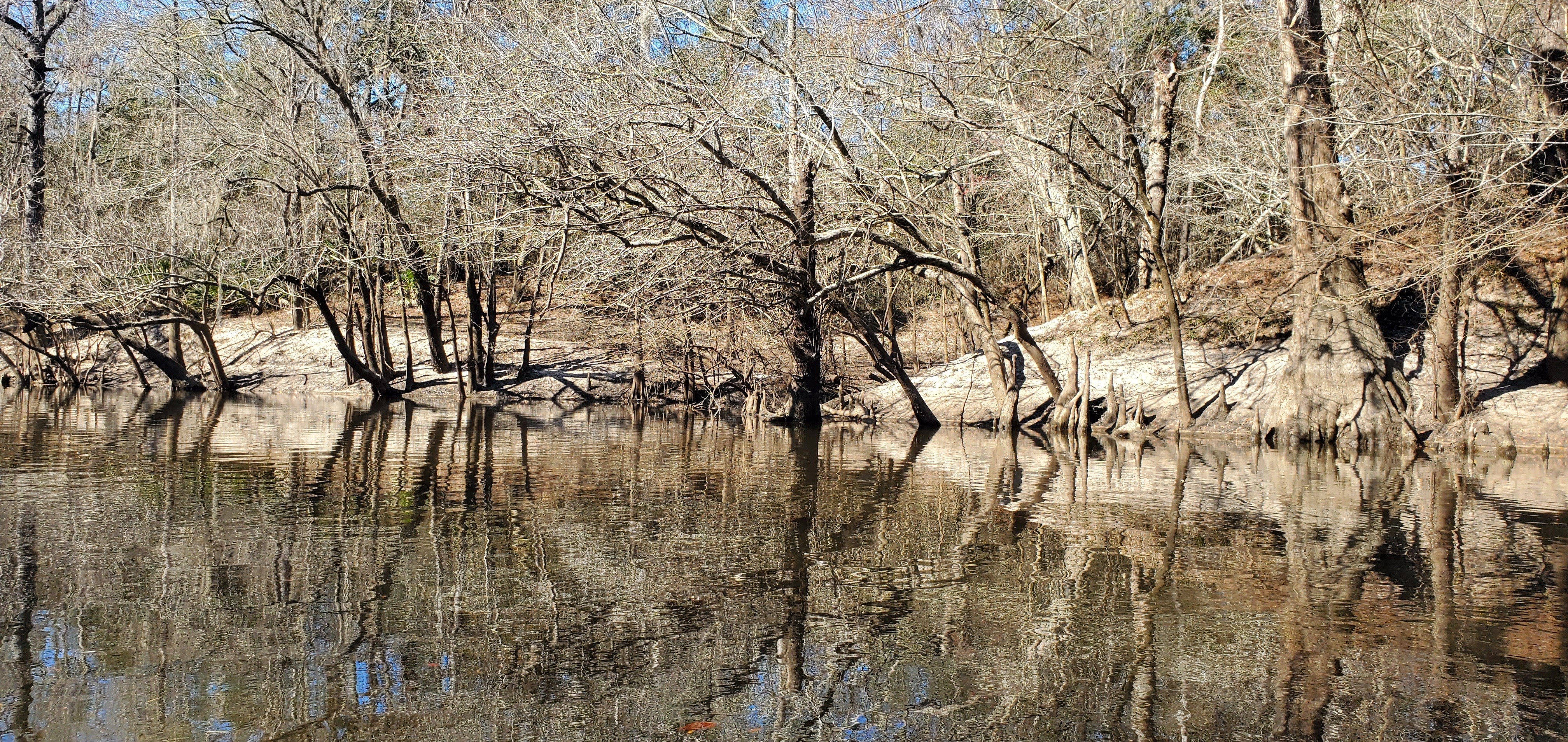 Millrace Creek, 14:20:04, 30.8144560, -83.4375073