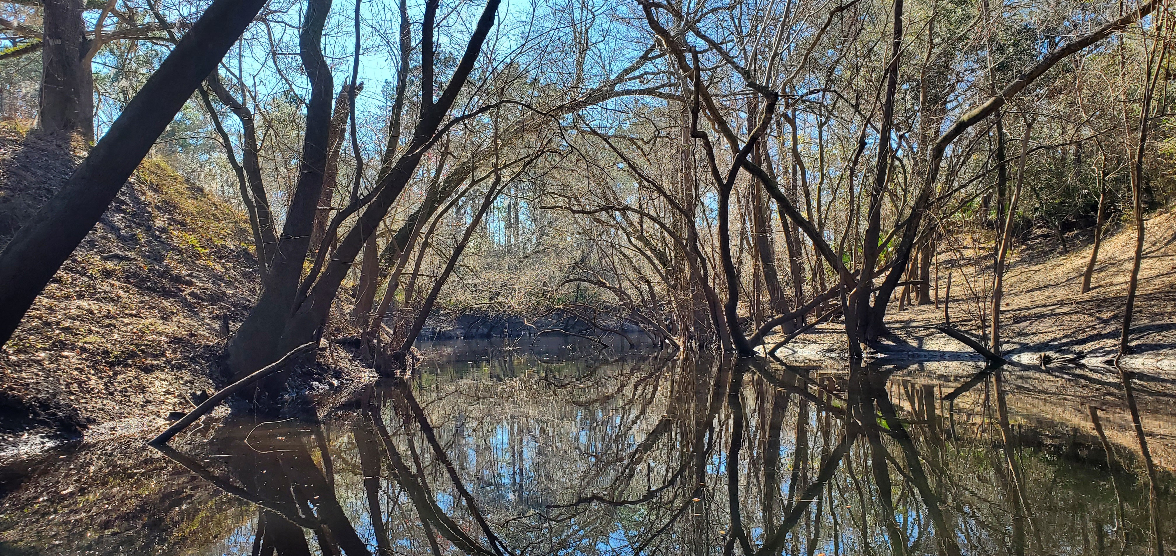 Framed Millrace Creek, 14:32:34, 30.8149698, -83.4373425