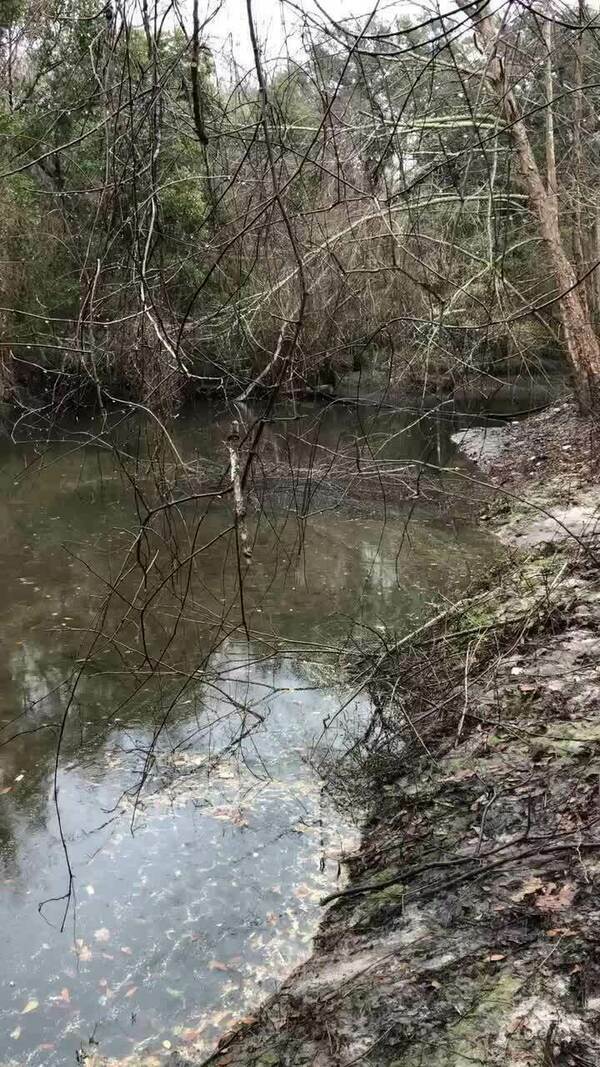 [Movie: Boom starting to collect trash Sugar Creek 2022-02-06 Photo: Russell McBride]