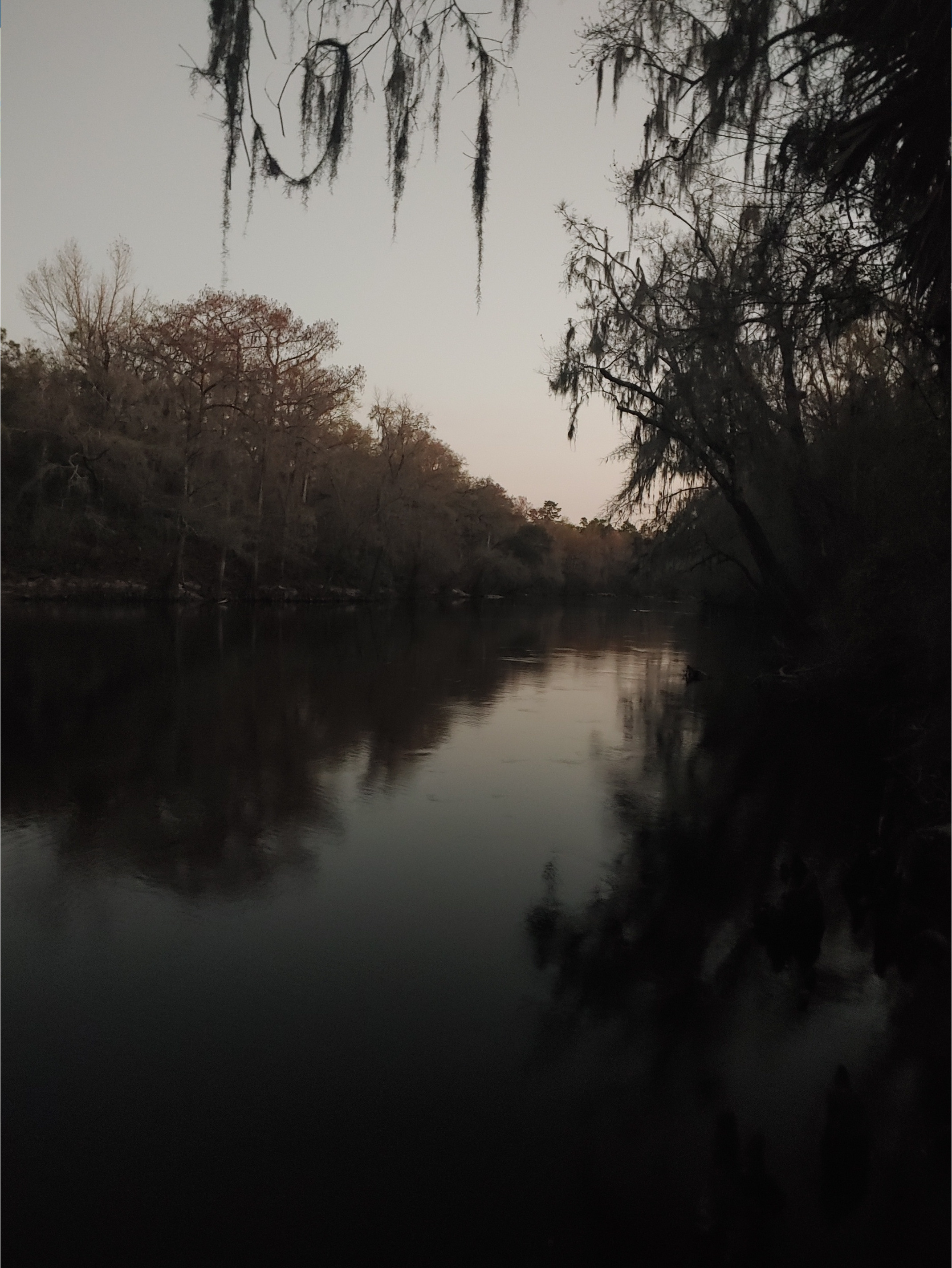 Cleary Bluff, Withlacoochee River @ NE Withla Bluffs Way 2022-02-23