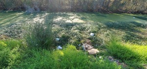 [Trash in water, 09:28:48, 30.6406052, -83.1890002]