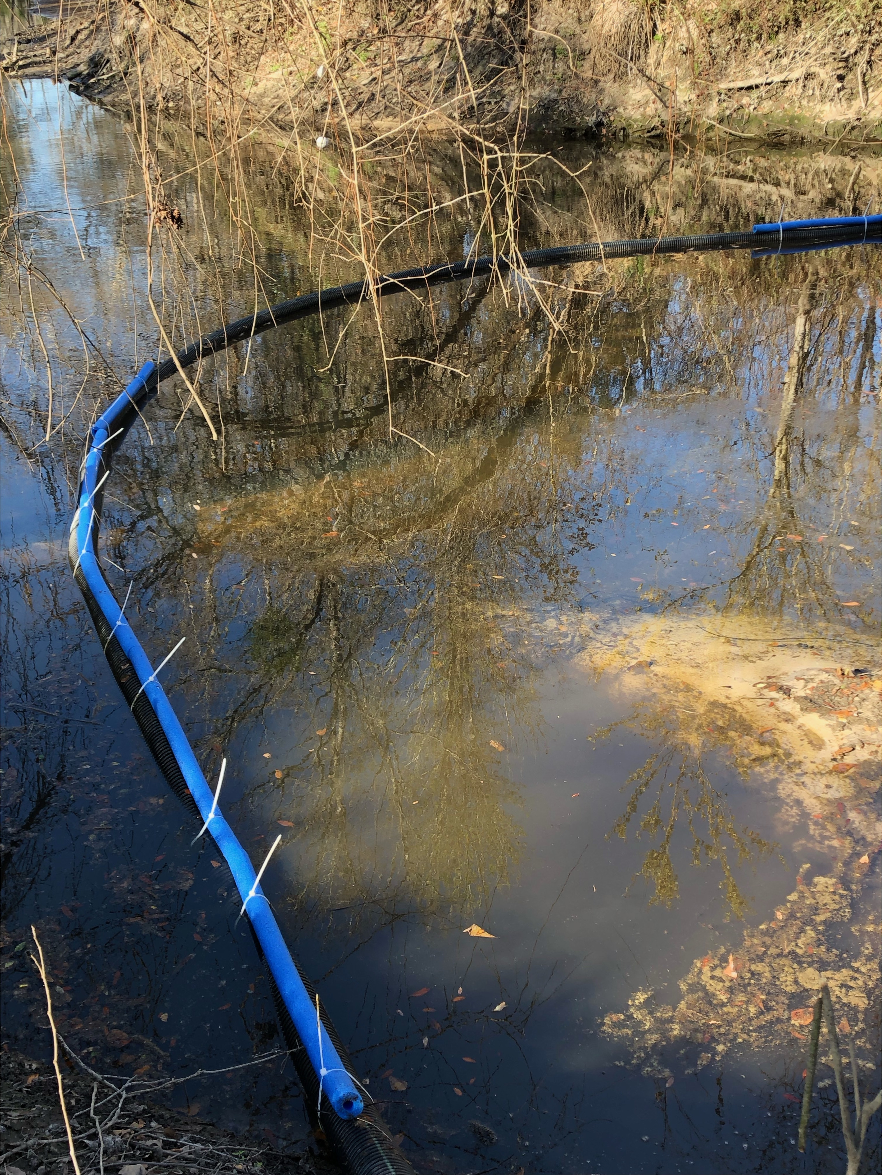 Clean boom Photo: Russell Allen McBride 2022-02-26