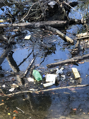 [More floating trash Photo: Russell Allen McBride 2022-03-01, 16:00:45, 30.8634000, -83.3191611]