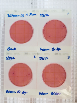 [Plates, Folsom Bridge Landing 2022-03-03]