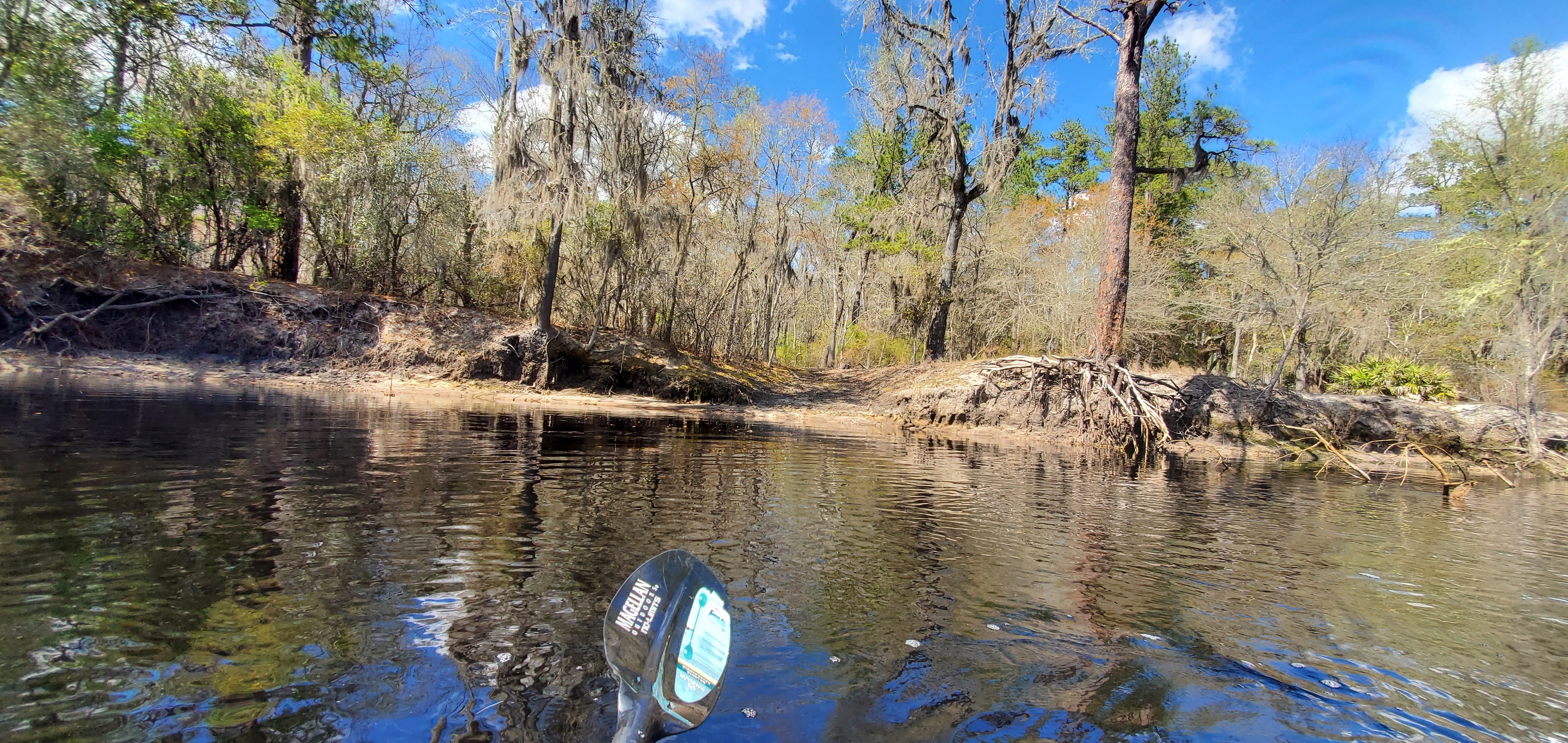 Rawls Camp Landing, right bank, 13:22:40, 30.6302733, -82.6358927