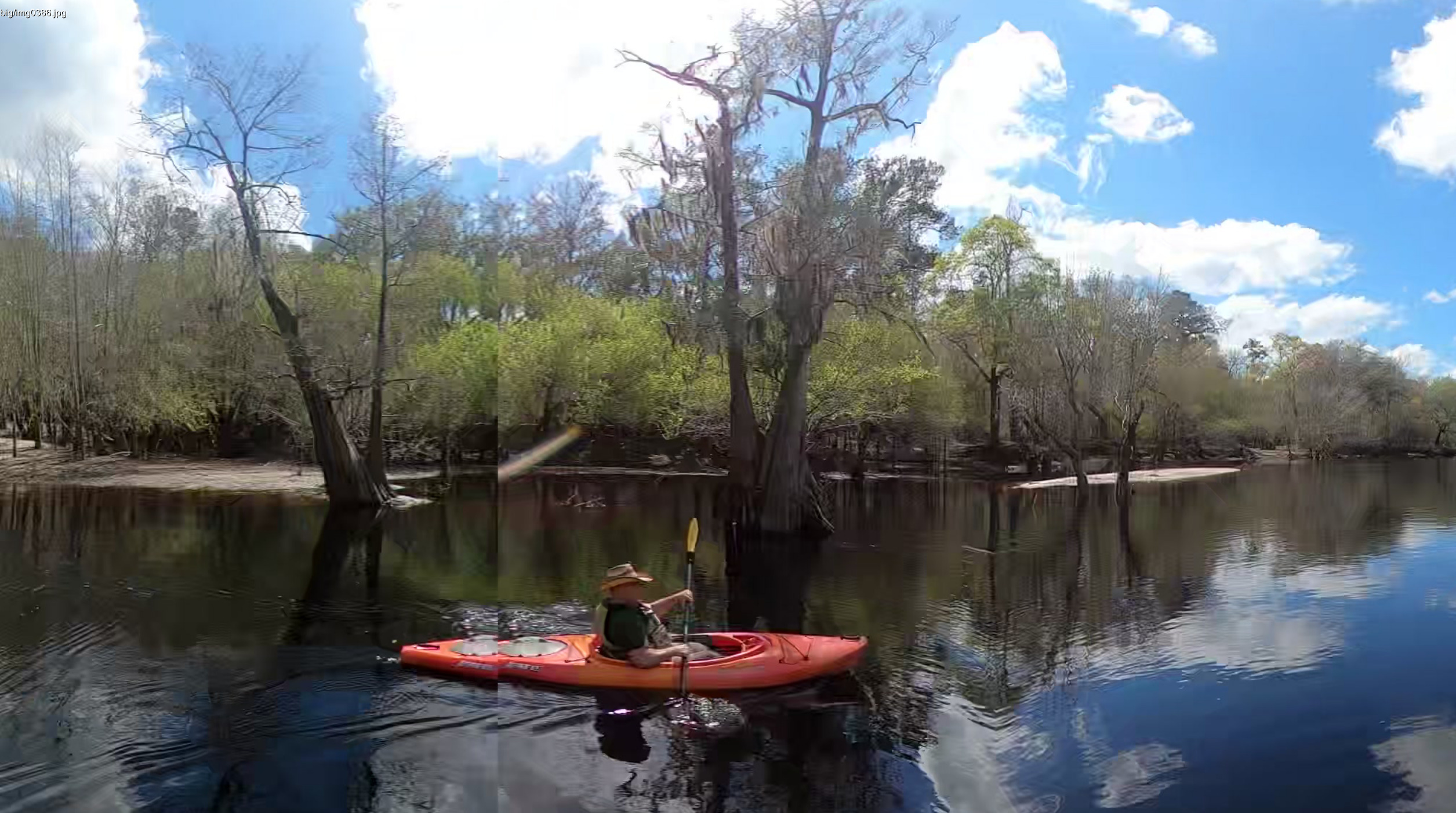 Little Swannee Creek, left bank, 30.6320701, -82.6226983