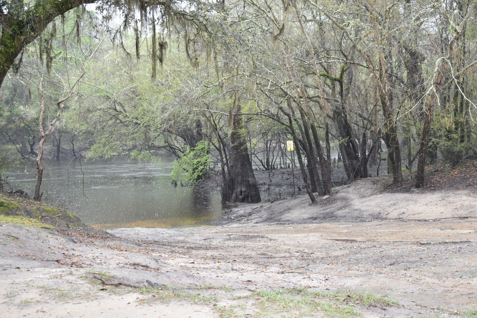 Knights Ferry Boat Ramp, Withlacoochee River 2022-03-10