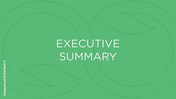 [EXECUTIVE SUMMARY cover page]