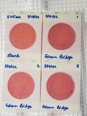 [Plates, Folsom Bridge Landing 2022-03-17]