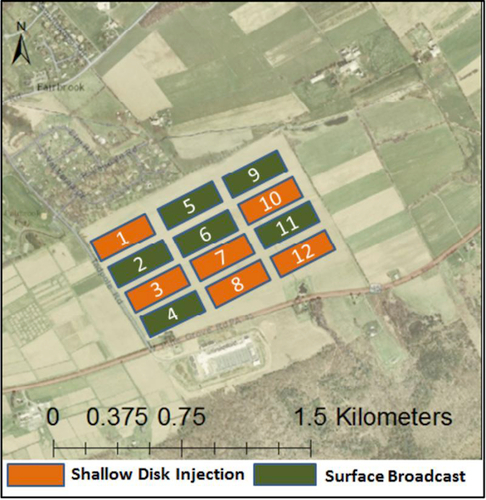 [Shallow Disk Injection and Surface Broadcast]