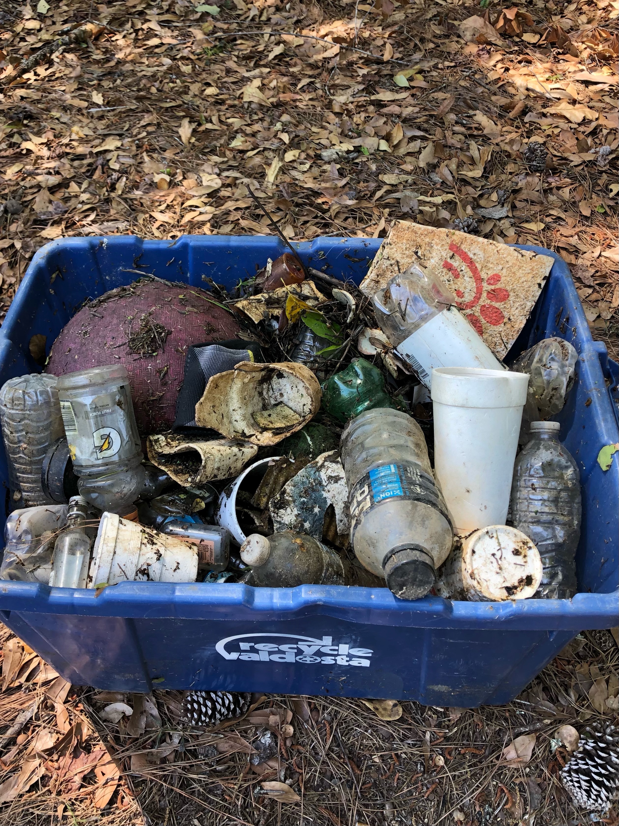 Chick-fil-A, Zacadoo's, Polar Pop (Circle K), Gator Aid, water bottles