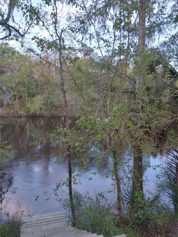 [Cleary Bluff, Withlacoochee River @ NE Withla Bluffs Way 2022-03-31]