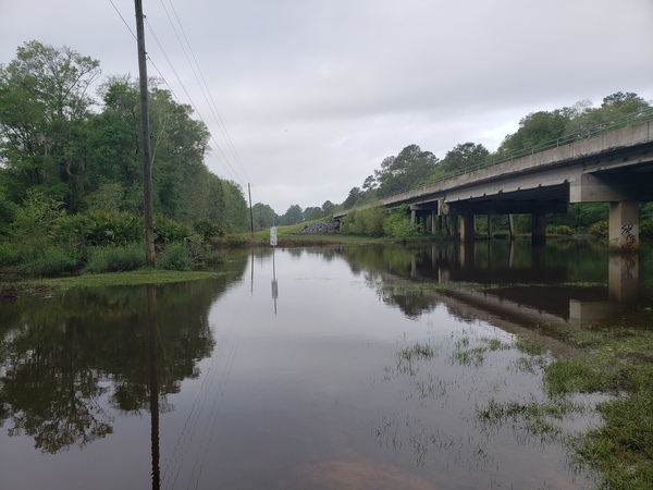 [Hagan Bridge Landing, Withlacoochee River @ GA 122 2022-04-07]