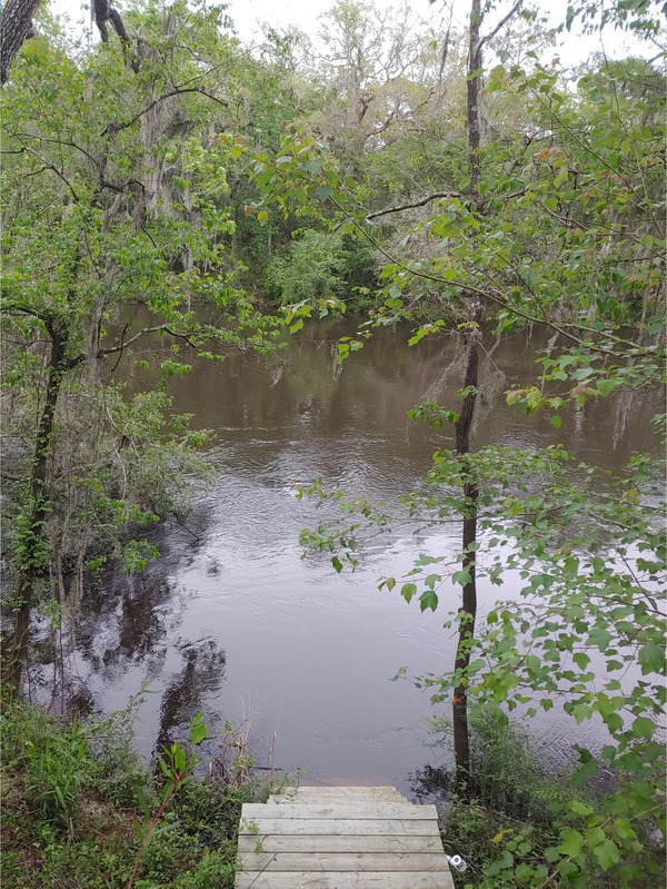 [Cleary Bluff, Withlacoochee River @ NE Withla Bluffs Way 2022-04-13]