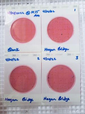 [Plates, Hagan Bridge Landing 2022-04-14]