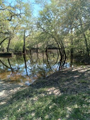 [Knights Ferry Boat Ramp, Withlacoochee River 2022-04-15]