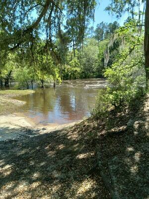 [Nankin Boat Ramp Downstream, Withlacoochee River @ Clyattville-Nankin Road 2022-04-15]