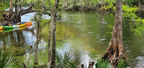 Poe Springs Run run meets Santa Fe River