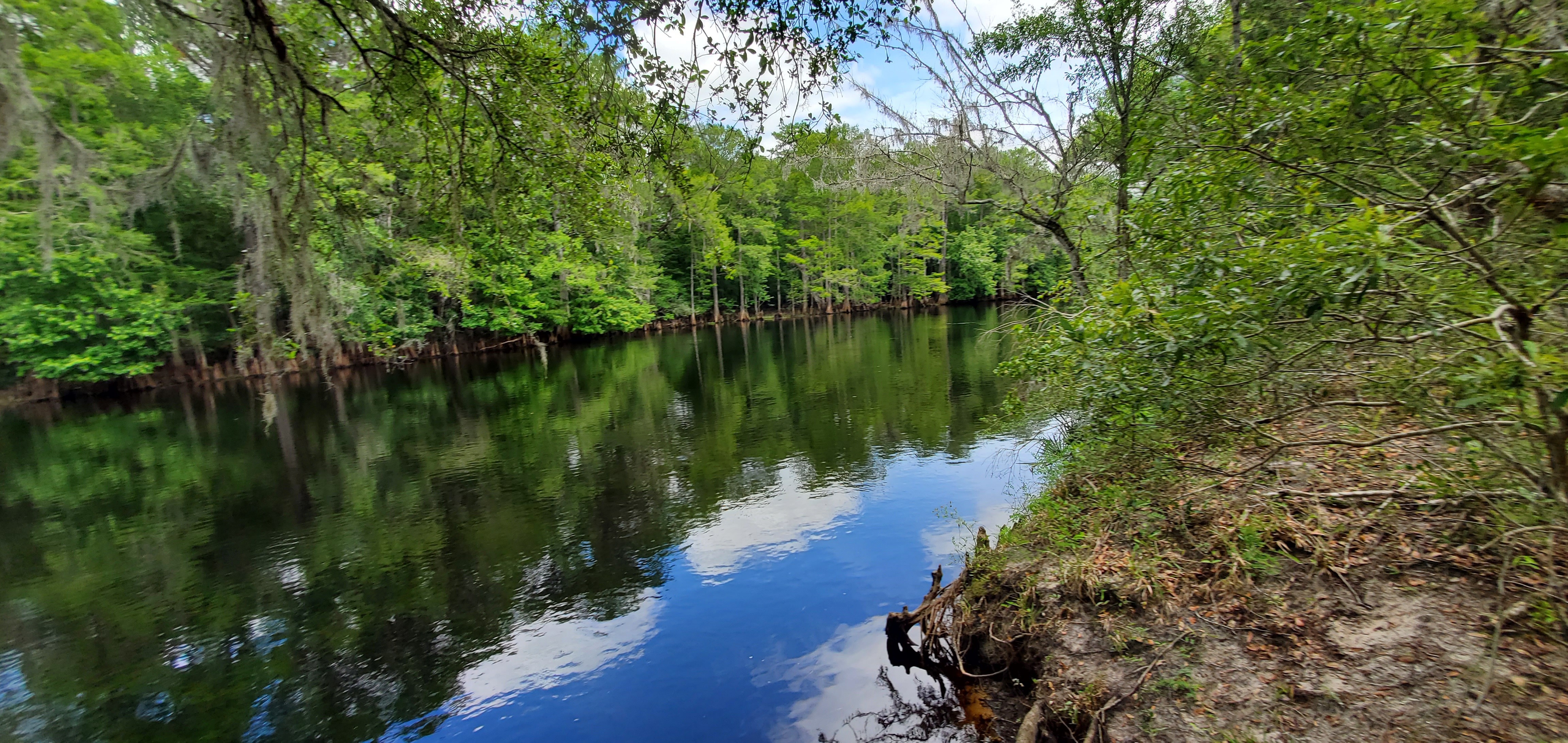 Santa Fe River upstream