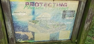 [Protecting Florida's Springs]