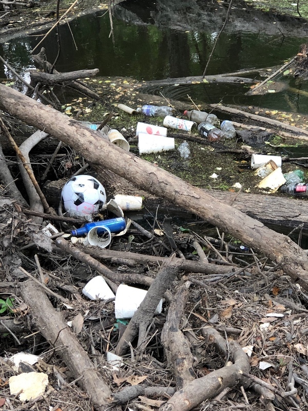 [Trash on Sugar Creek]