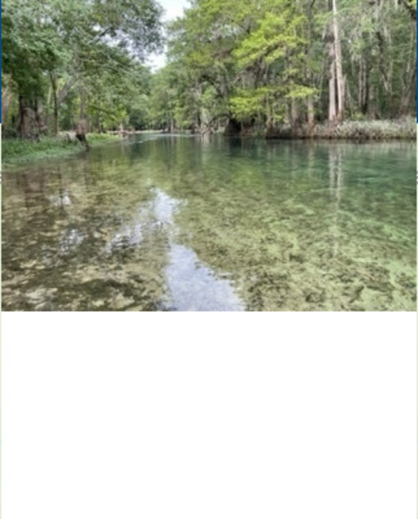 [Hodor Park, Ichetucknee River @ SW Riverside Ave. 2022-05-26]