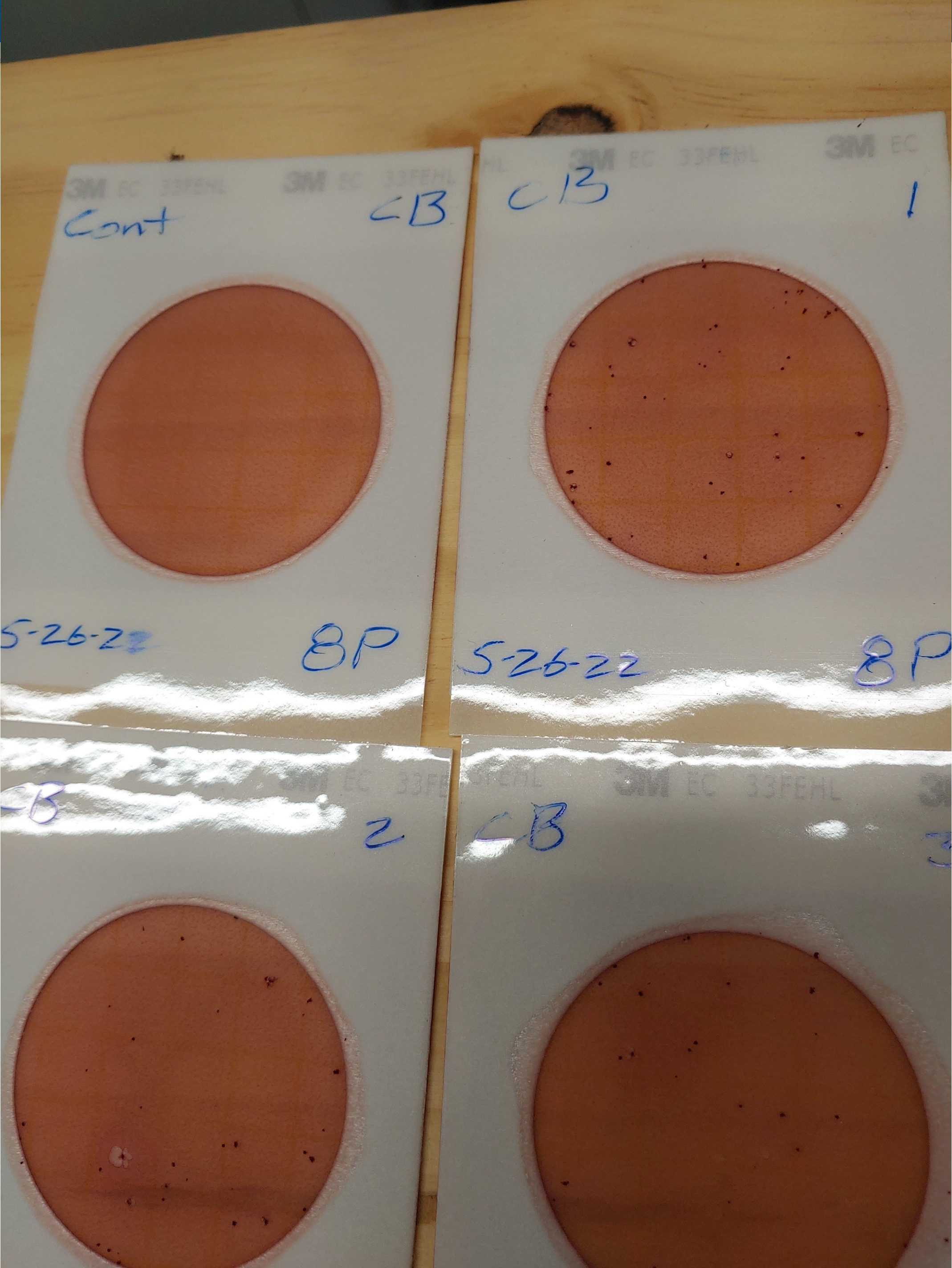 Plate1, Cleary Bluff 2022-05-26