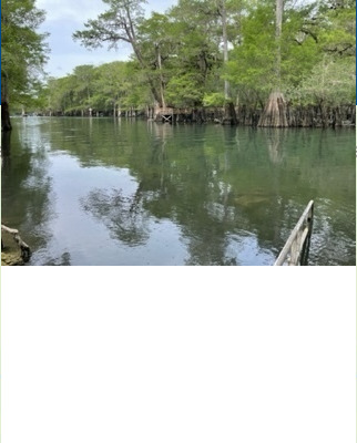 Point Park, Ichetucknee River @ SW Riverside Ave. 2022-05-26