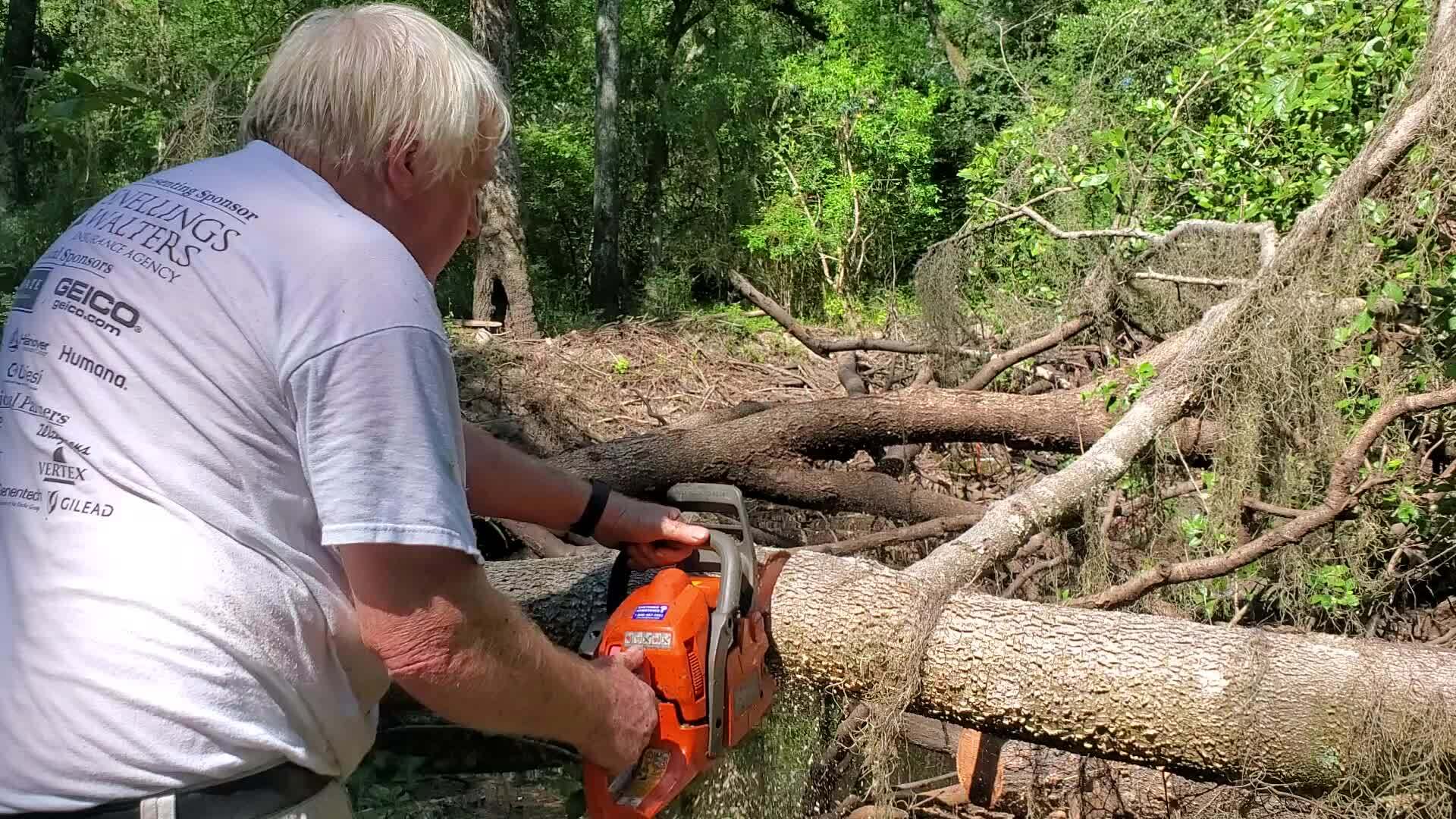 Movie: Sawing another limb (77M)