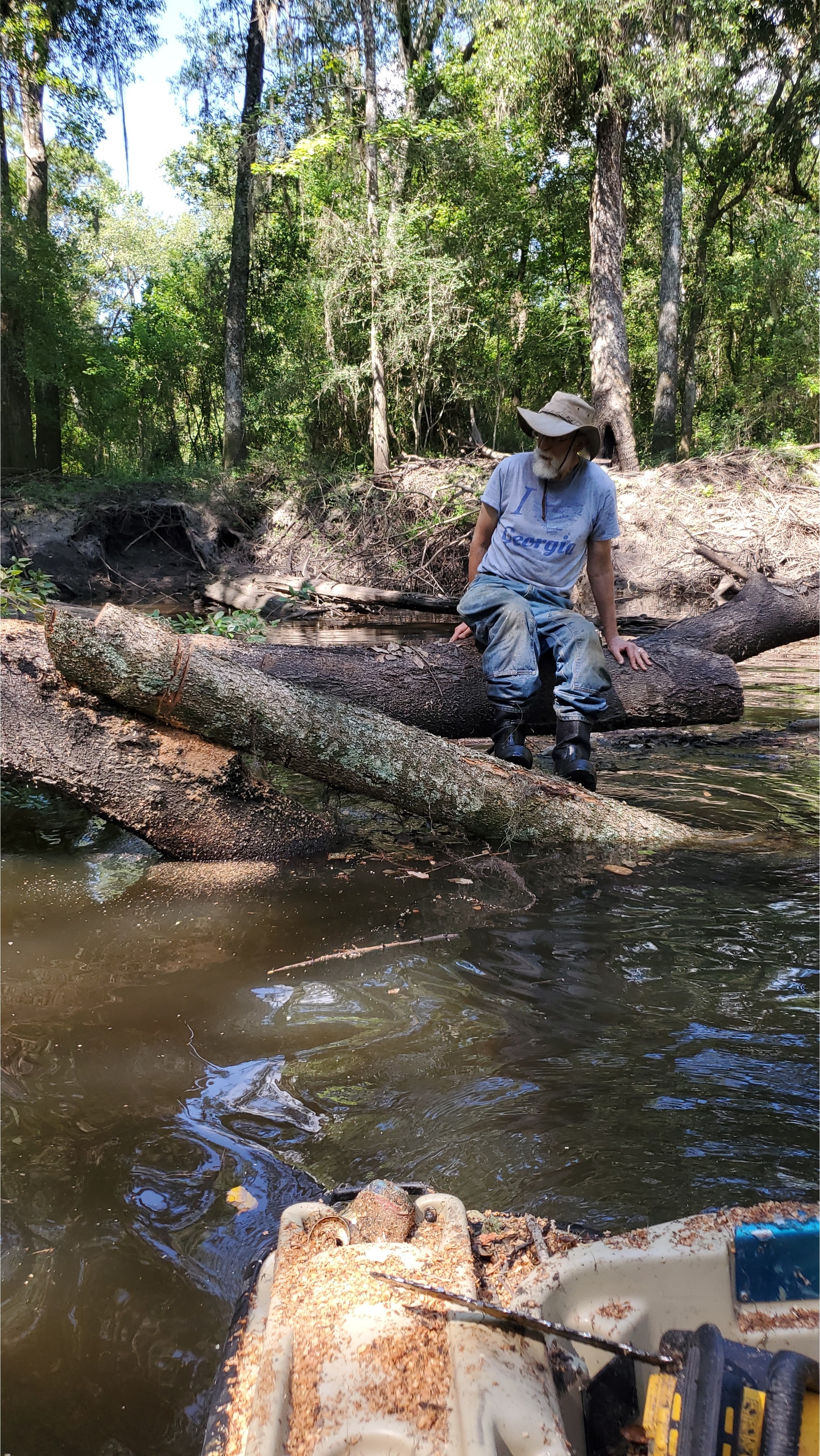 Eventually I used a sawed-off limb as a pry pole