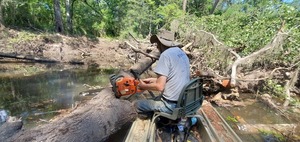 [Need a new chain and bar for that chainsaw]