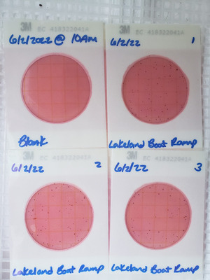 [Plates, Lakeland Boat Ramp 2022-06-02]