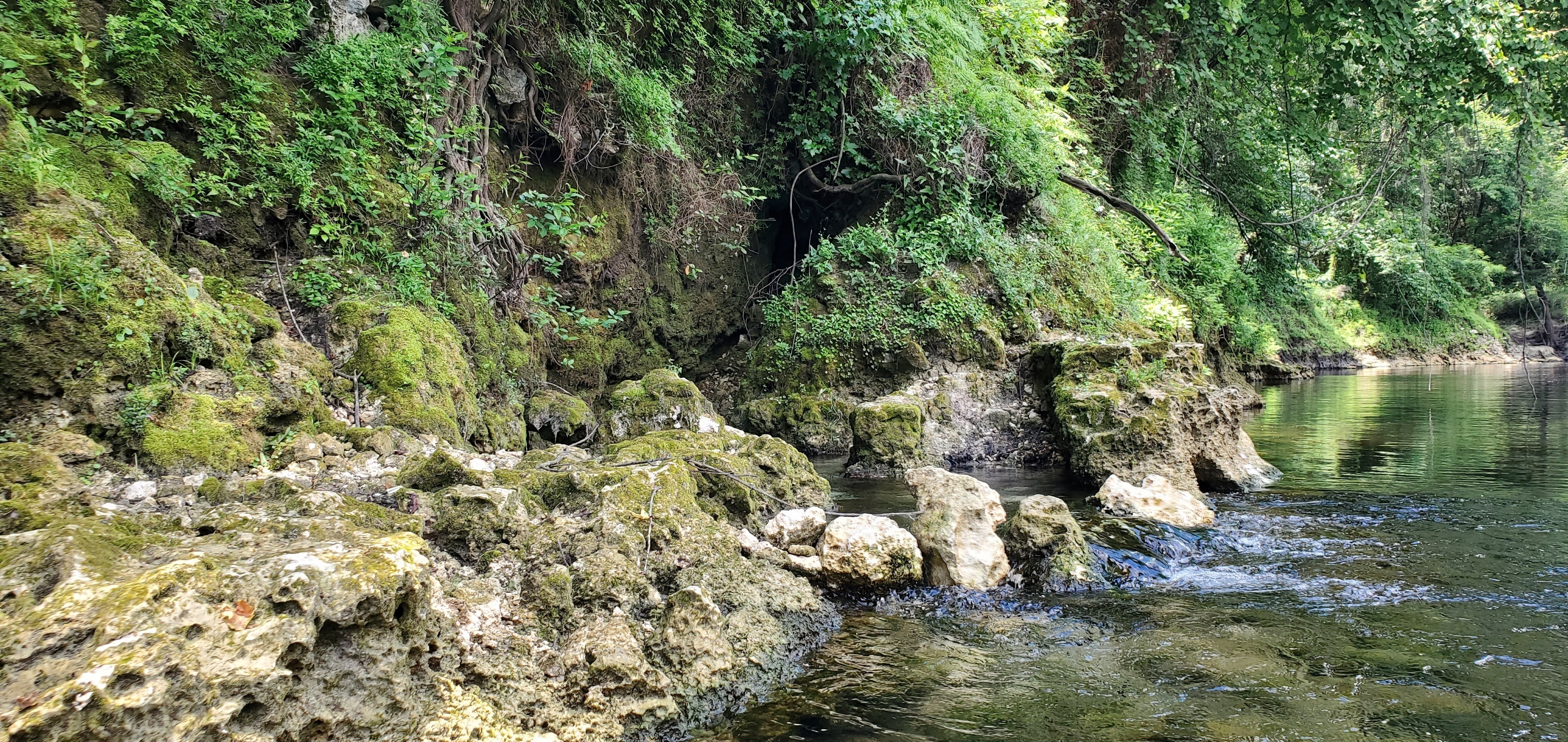 Spring water entering river, 13:35:03, 30.4727272, -83.2431057