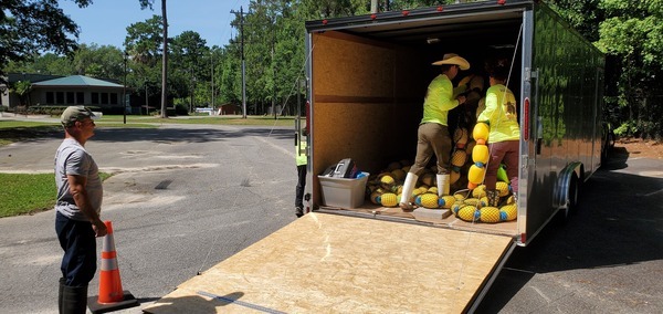 [Lots of yellow floats]