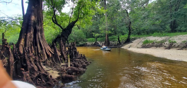 Phil Royce at possible landing site, Troupville River Camp, 10:04:49, 30.8464776, -83.3475547