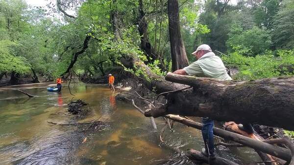 Movie: Phil Royce continues on the first log jam, 30.8458848, -83.3474451 (59M)