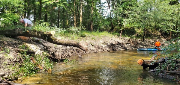 [Phil Hubbard getting that last bit of the first deadfall, 11:17:37, 30.8458615, -83.3474031]