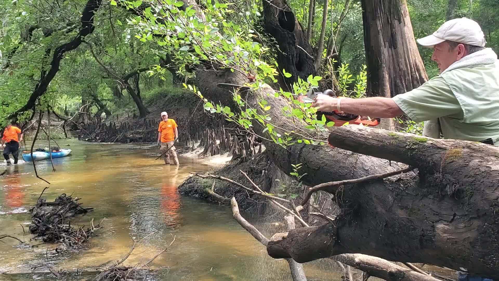 Movie: Phil Royce cuts twice, electric chainsaw, 10:16:59, 30.8458848, -83.3474451 (63M)