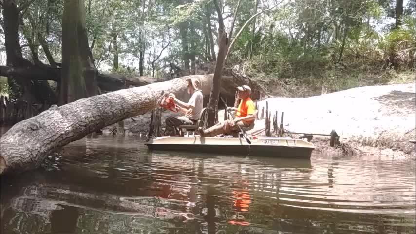 Movie: Last tree, jsq sawing, Jesse Cole holding, WWALS boat, 12:56:15 (415M) --Phil Royce