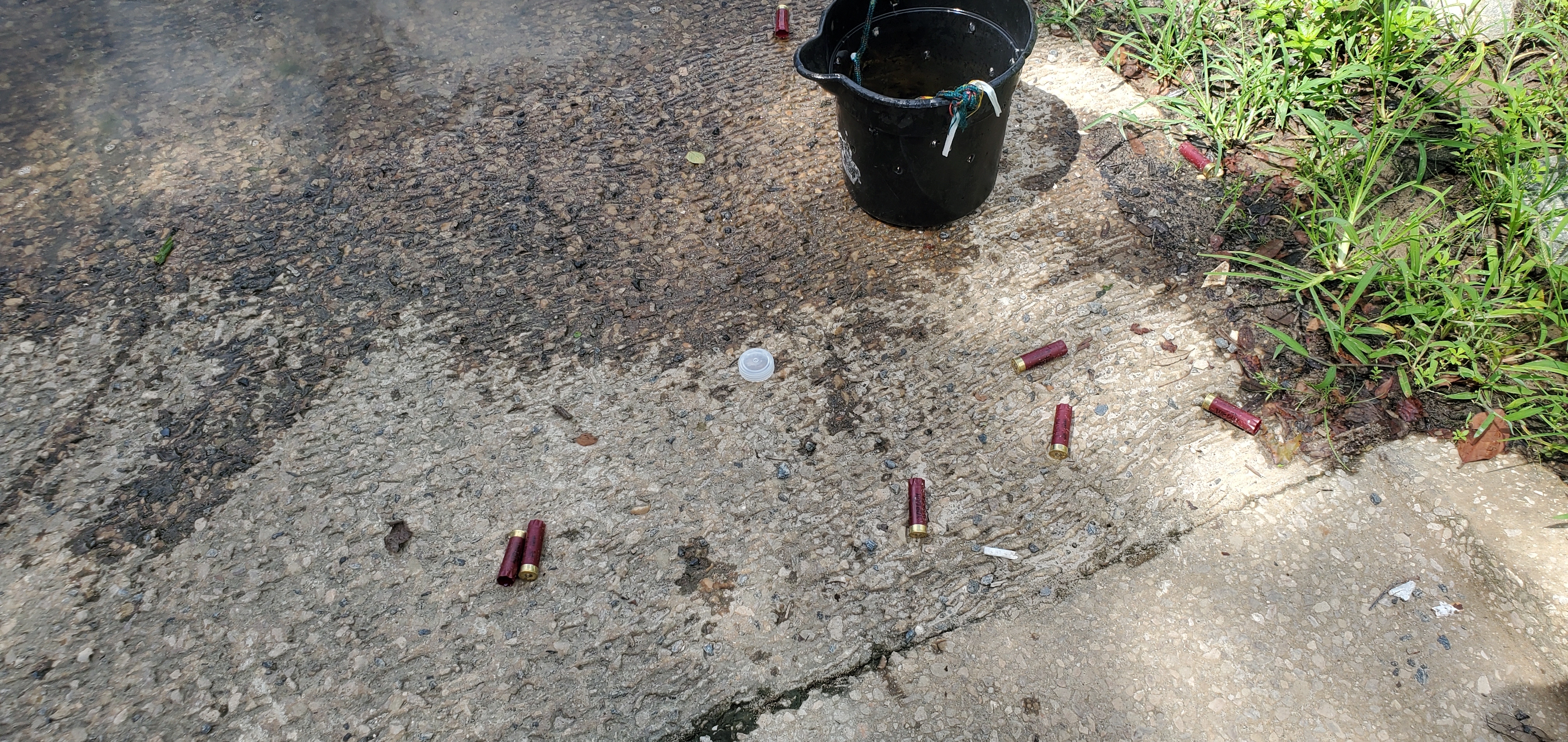 Shotgun shells, 11:40:52, 30.6357540, -83.3112780