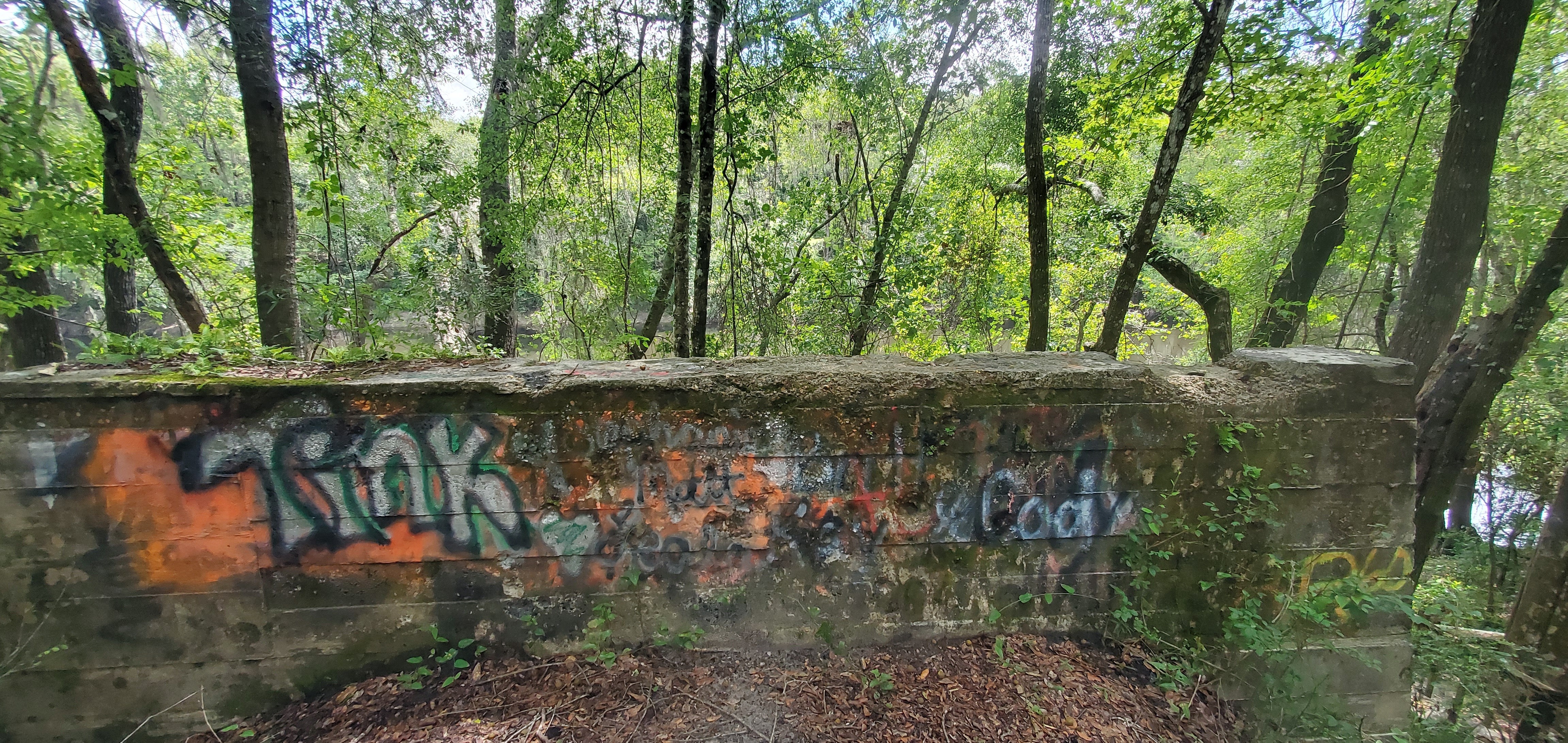 Old Belleville Bridge abutment, 12:16:02, 30.5956539, -83.2598523